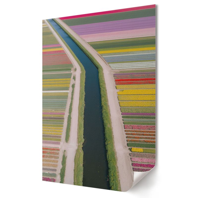 Plakat na ścianę Wallfluent Format A2 Kwiatowe pola Projekt Artystyczny Punkt Widzenia 1 szt.
