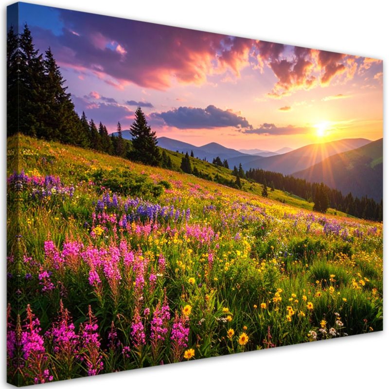 Obraz do salonu sypialni biura Feeby Łąka kwiaty pejzaż górski natura 120x80cm 1szt