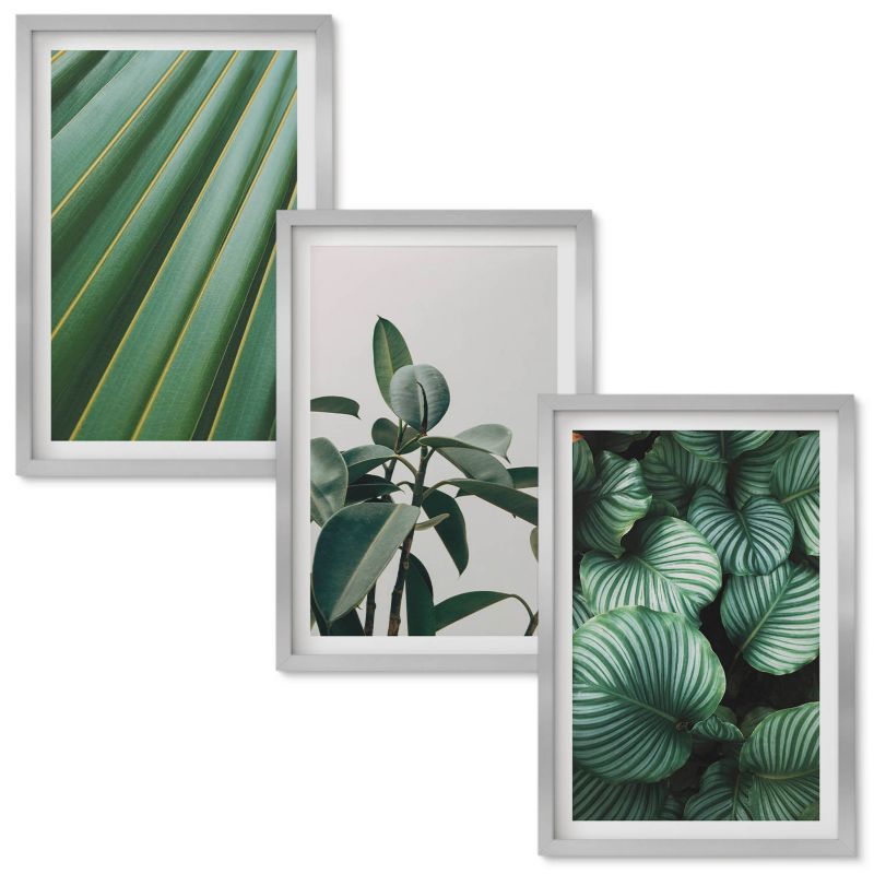 Tryptyk w Ramie Wallfluent Estetyczne liście tropikalne Srebrna rama 40x60 cm 3 szt.