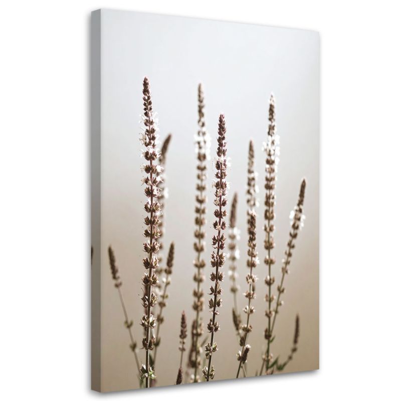 Obraz do salonu kuchni jadalni Feeby Suche rośliny natura beżowy 60x90cm 1szt