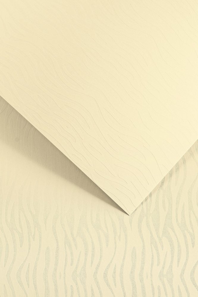 2x Karton ozdobny Pacific Galeria Papieru, A4, 200g/m2, 20 arkuszy, kremowy