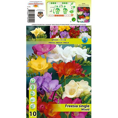10 buc, Frezie single mix multicolor - Bulbi: Mod de ambalare: 10 buc