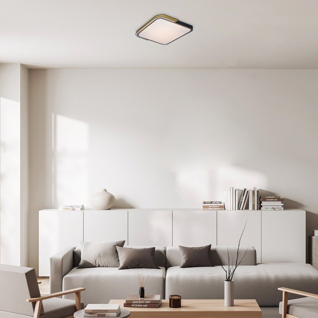 Rabalux Arild plafon 1x48W LED biały/czarny 71146