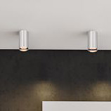 Italux Lopus lampa podsufitowa 1x10 W aluminium CLN-48930-S-ALU