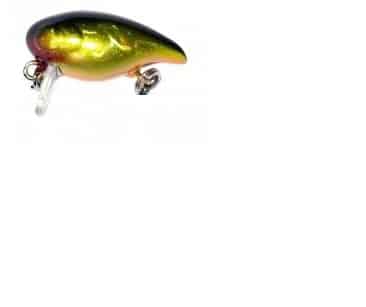 Jackall Wobler AreaMan 22S HL Gold Black