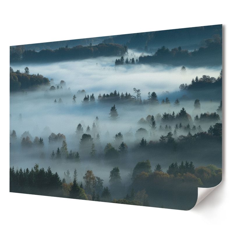 Plakat canvas Wallfluent Format A2 Mglista przyroda Artysta Lunori 1 szt.