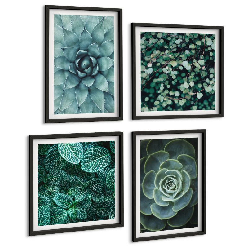 Czteroczęściowy Zestaw Obrazów ArtPrintCave (2x50x50+2x40x60cm) Czarna rama Sukulenty w zieleni i turkusie 1 kpl.