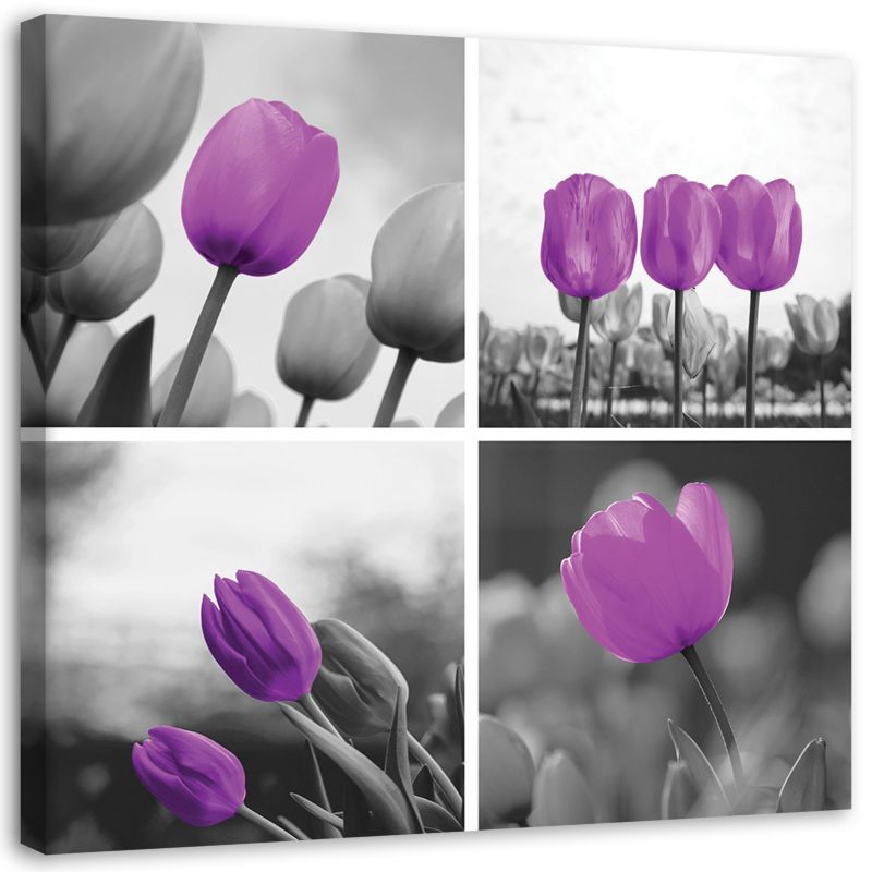 Obraz na płótnie Feeby Zestaw fioletowych tulipanów 20x20cm 1szt