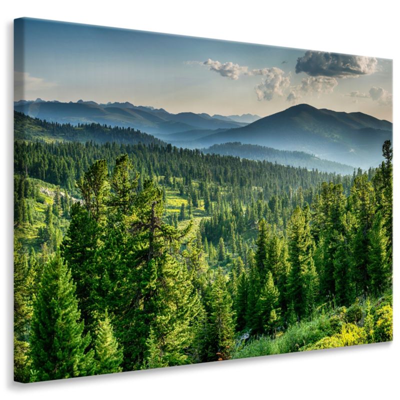 Obraz Las Natura Mgła Góry Efekt 100x70 cm 1 szt.
