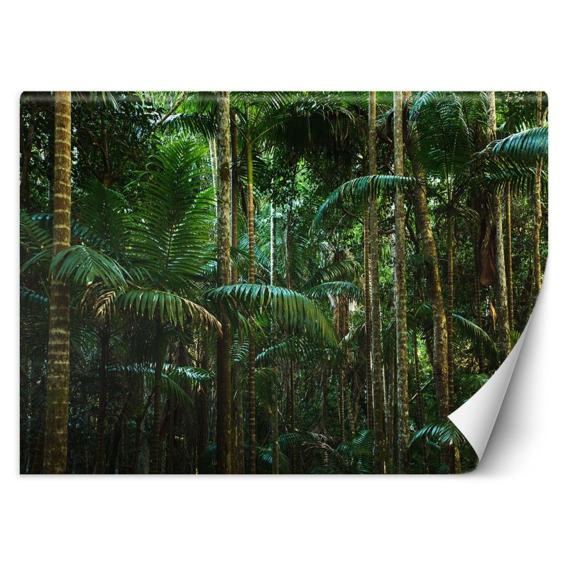 Fototapeta Feeby Las tropikalny natura 200x140 1 szt