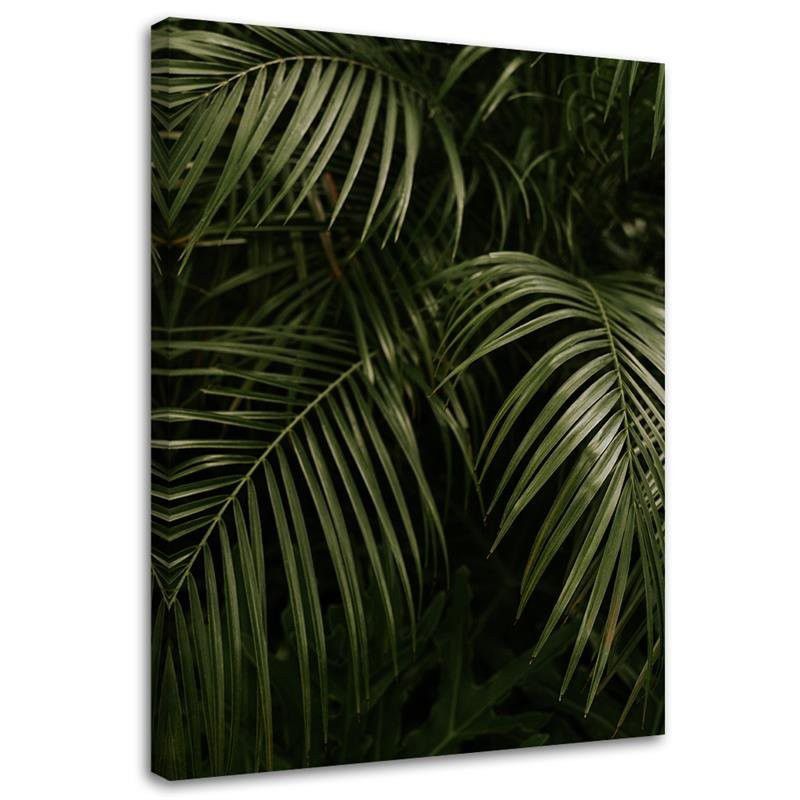 Obraz na płótnie Feeby Zielone palmowe liście 40x60cm 1szt