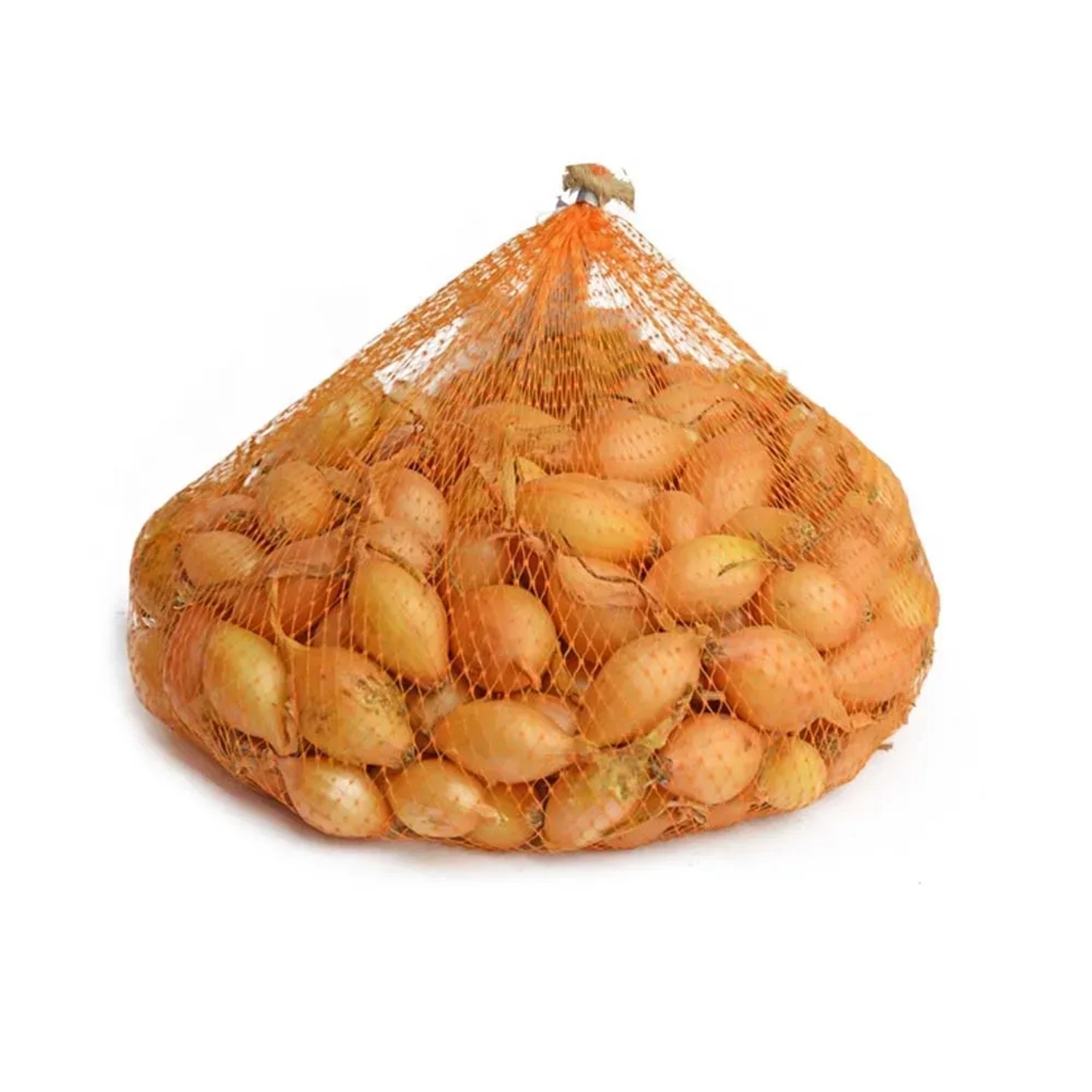 Cebula dymka (Allium cepa) Troy - 500 g