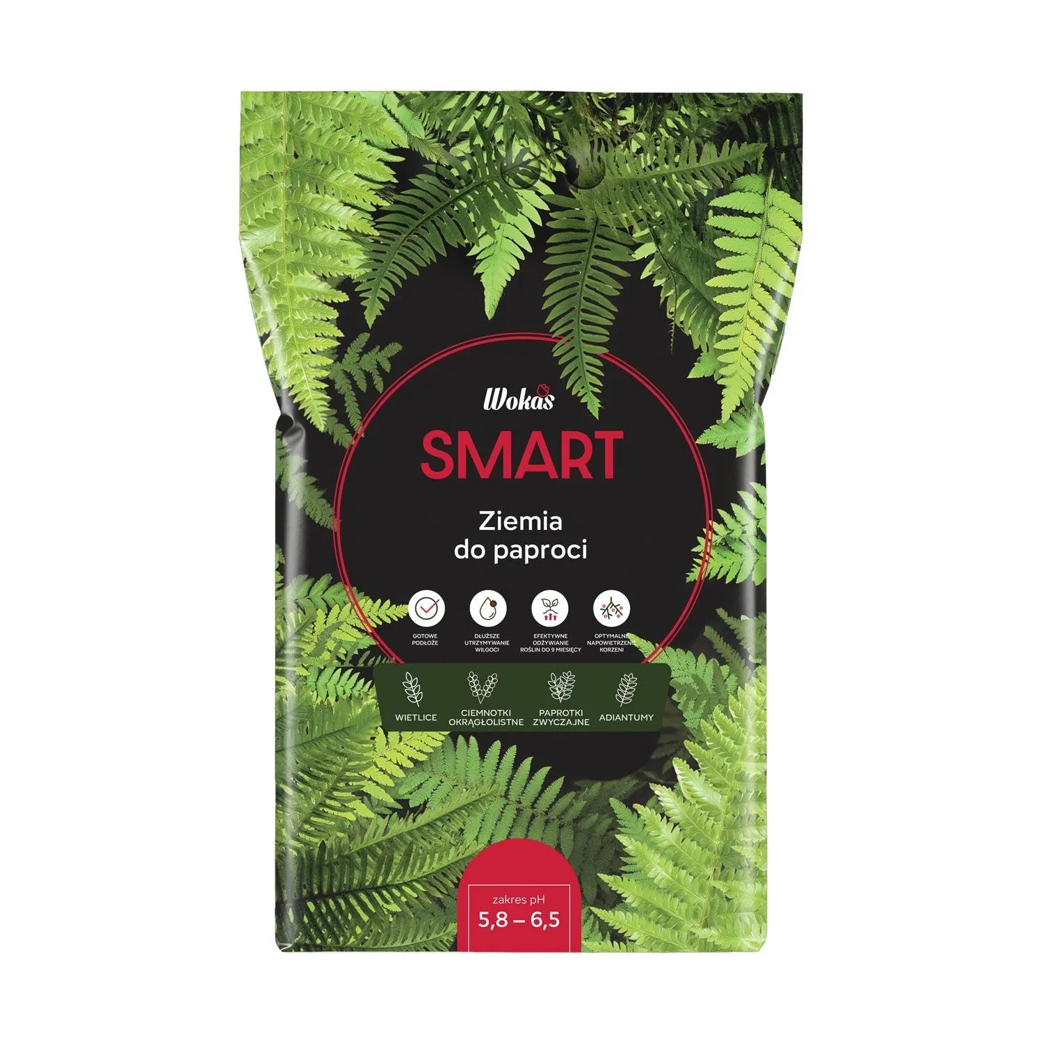 Wokas Podłoże do paproci SMART 5L