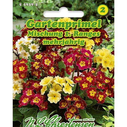 Prvosienka vyššia (Primula), zmes - : Monžstvo balíkov: 1 ob