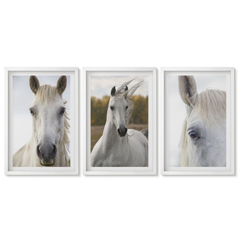 Trzy obrazy w białej ramie zestaw Tulup 40x60 cm Białe konie w naturze Galeria ścienna 1 kpl