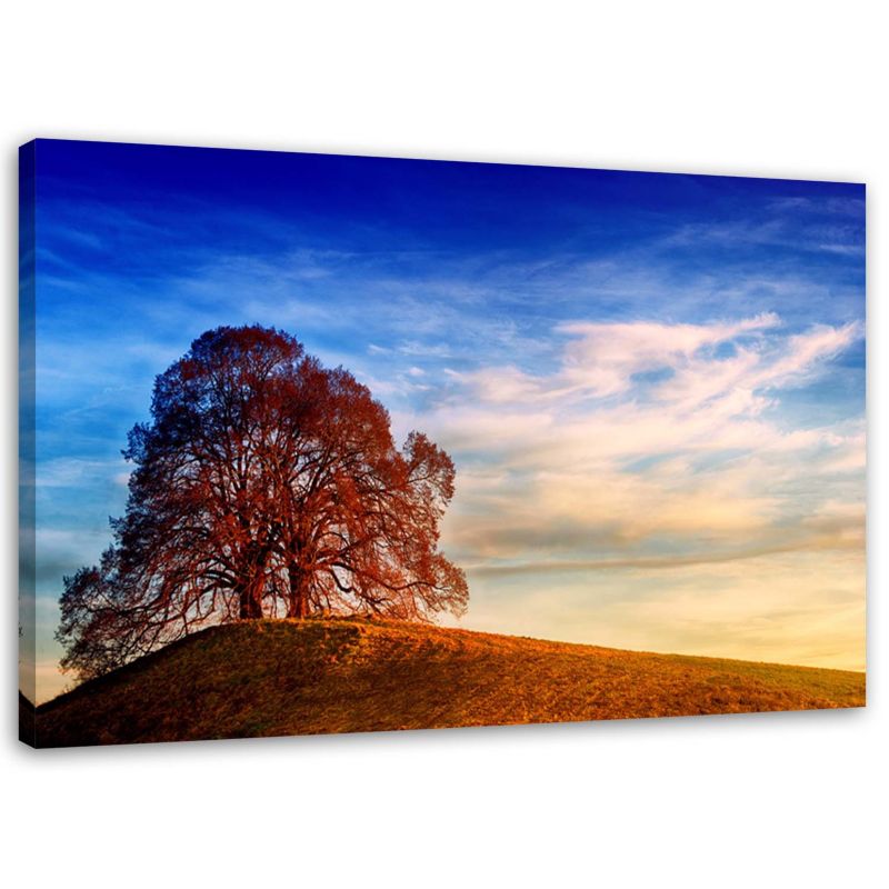 Obraz na płótnie Feeby Drzewo na wzgórzu krajobraz 45x30cm 1szt