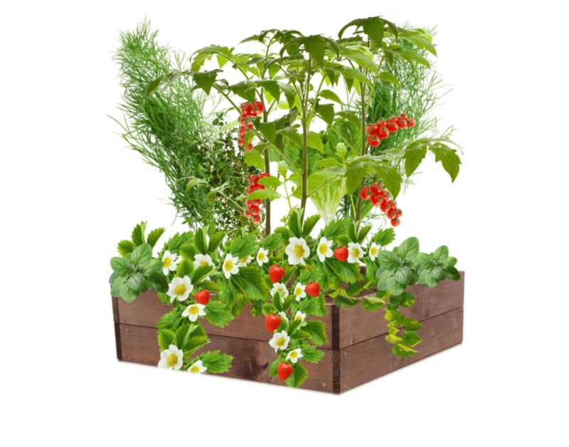 Grządka na warzywa MODO24 skrzynia podwyższona 18x93x90 cm brązowa impregnacja 1 szt.
