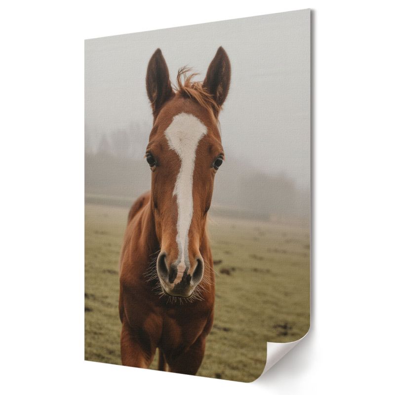 Plakat na ścianę Wallfluent Format A4 Koń portret Artysta SoliN 1 szt.