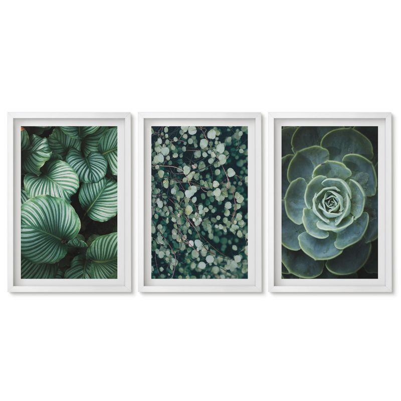 Zestaw 3 obrazów w białej ramie Tulup 40x60 cm Zielone liście sukulenty styl Obrazy do kuchni w ramie 1 kpl