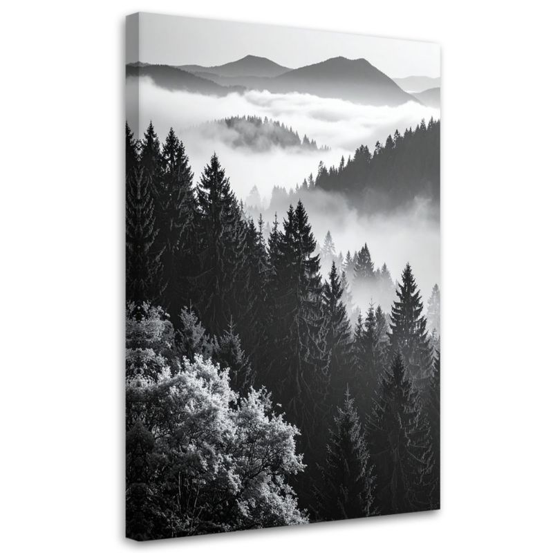 Obraz do salonu sypialni Feeby Pejzaż górski czarno biały 80x120cm 1szt