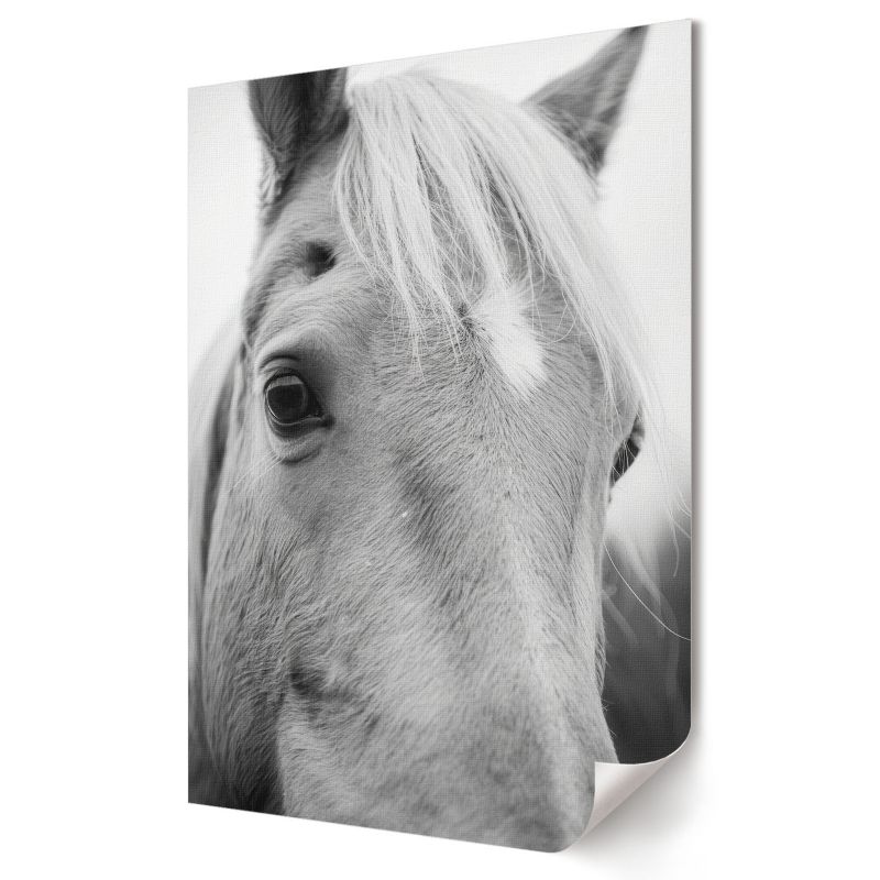 Plakat na ścianę Wallfluent Format A2 Koń portret Artysta Christian Rock 1 szt.