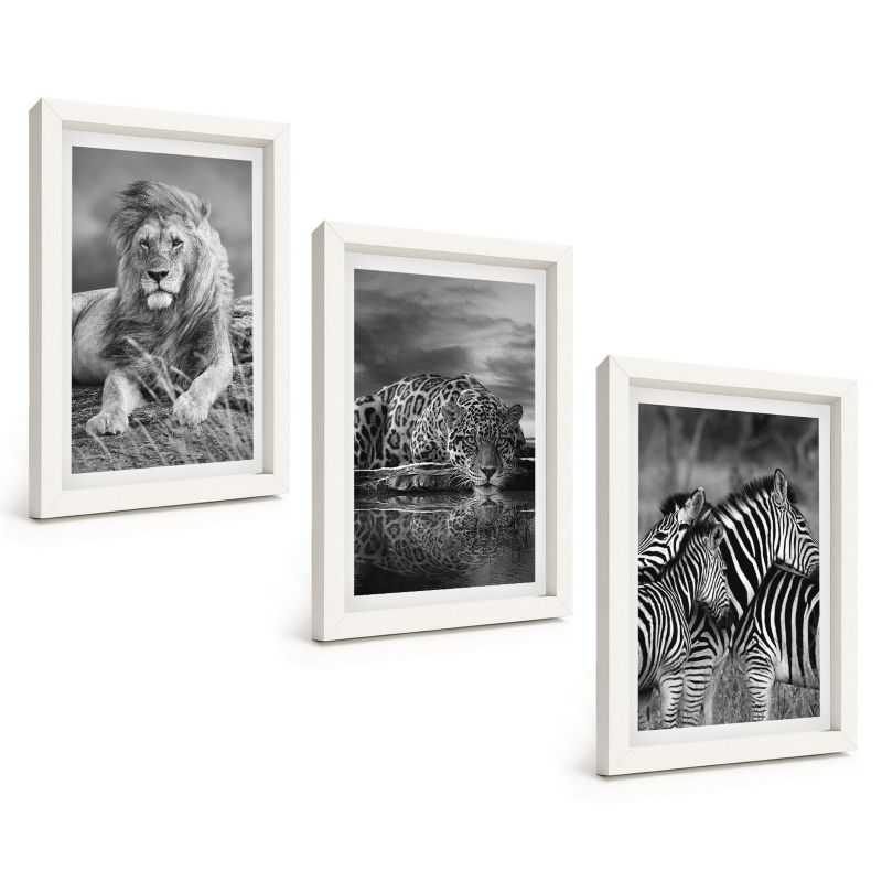 Trzyczęściowy Zestaw Obrazów ArtPrintCave 20x30 cm Biała rama Dzikie zwierzęta sawanny 1 kpl.