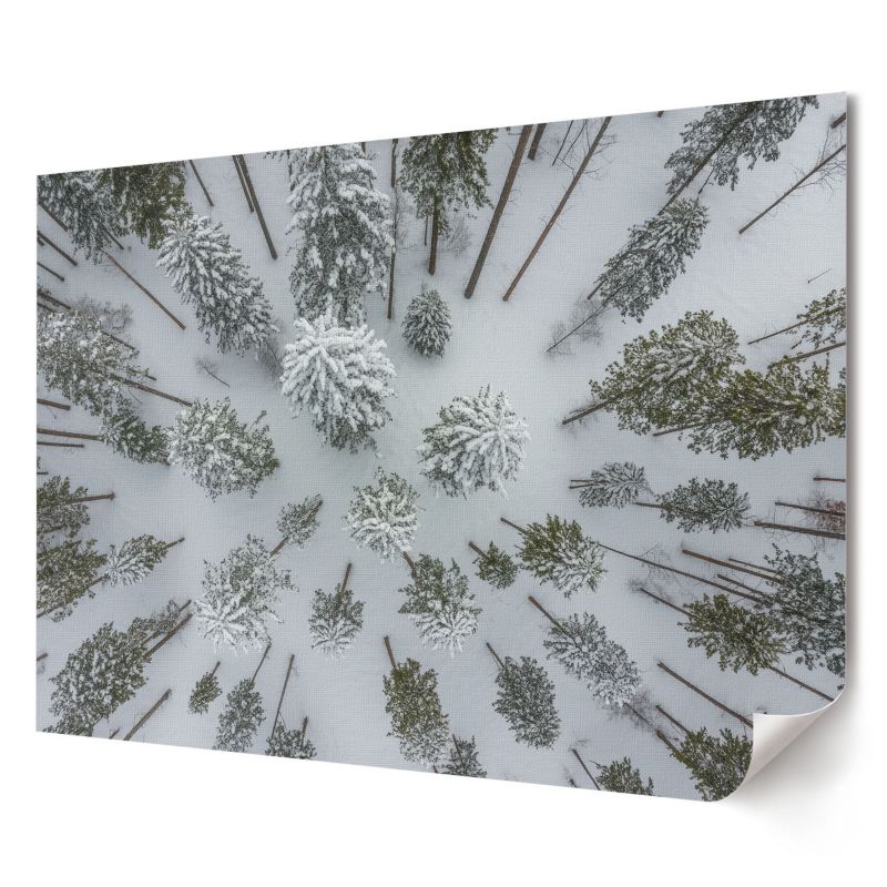 Plakat canvas Wallfluent Format A3 Zimowy las Artysta TrueArt 1 szt.