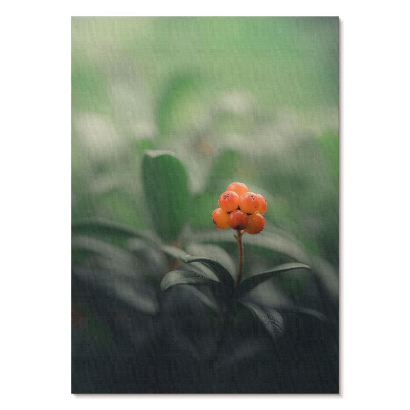 Obraz Plakat Canvas Tulup 42x59,4 cm (A2) Pomarańczowe jagody Do salonu, sypialni, biura 1 szt.