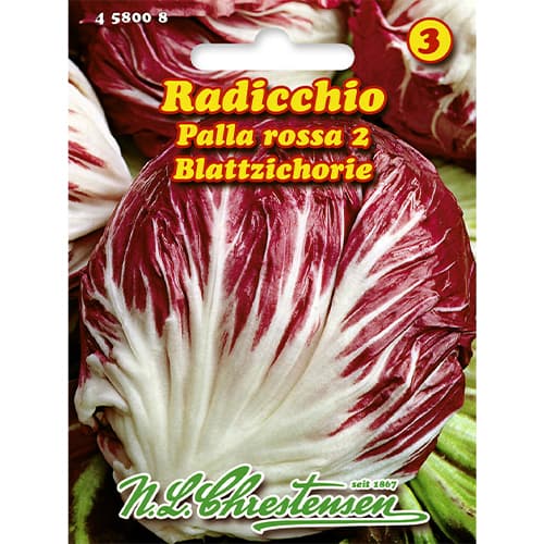 1 pac, Cicoare roșie (radicchio) Palla Rossa 2 - Semințe: Mod de ambalare: 1 pac