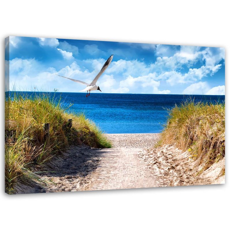 Obraz na płótnie Feeby Ścieżka na plażę i mewa 60x40cm 1szt