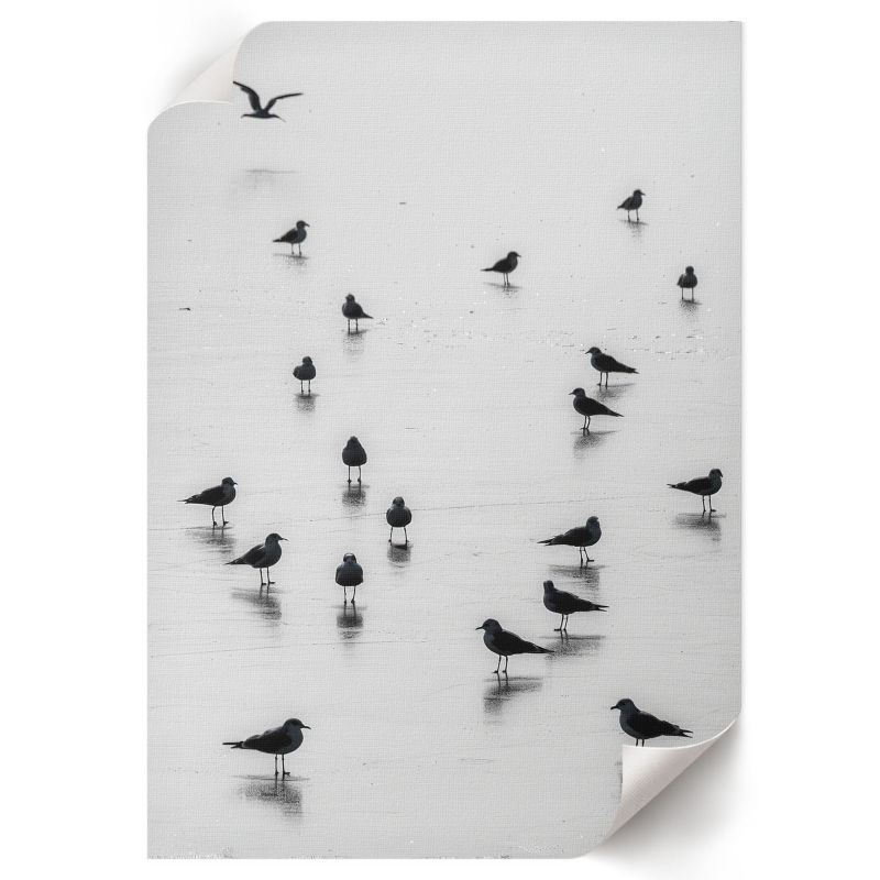 Plakat Do Kuchni ArtPrintCave 21x29,7 cm Ptaki przybrzeżne Sage 1 szt.