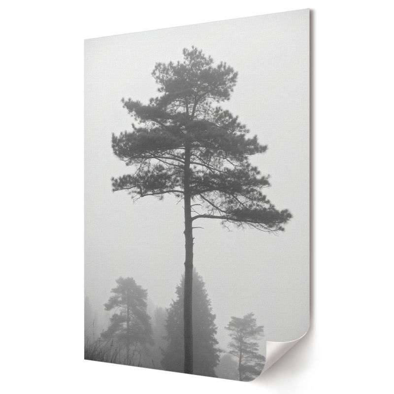 Plakat Wallfluent Format A1 Mgła i drzewa Artysta Nitrozine 1 szt.