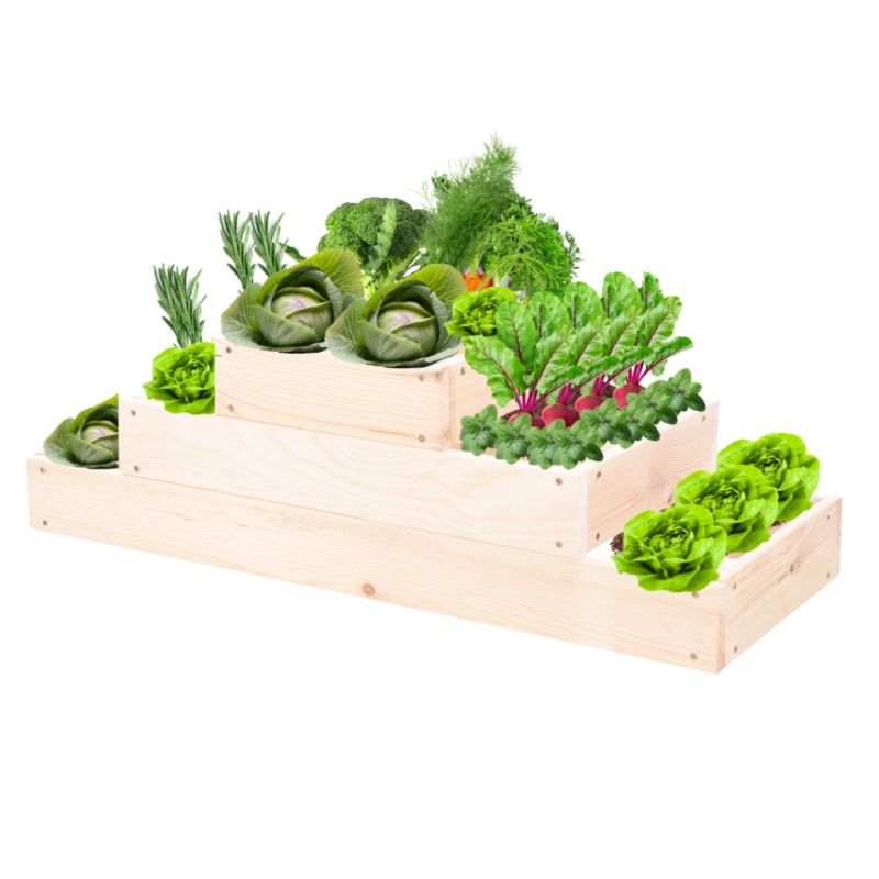 Grządka warzywna MODO24 regulowana inspekt 27x117x30 cm naturalne drewno 1 szt