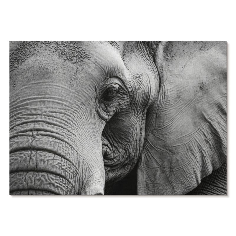 Obraz Plakat Canvas Tulup 84x59,4 cm (A1) Słoń detal Do salonu, biura, sypialni 1 szt.