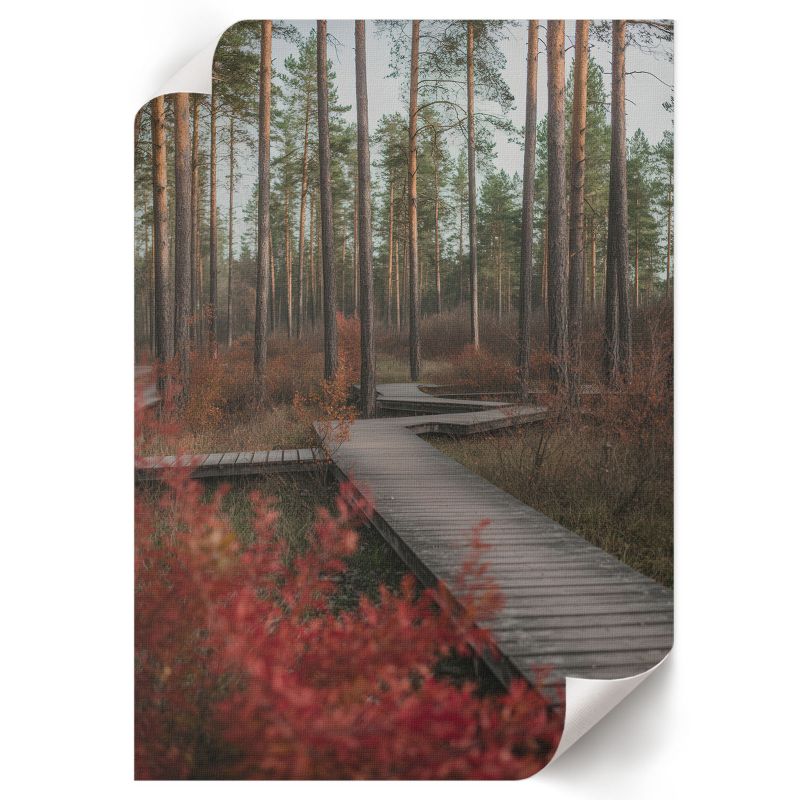 Plakat Ścienny ArtPrintCave 42x59,5 cm Leśna droga Nitrozine 1 szt.