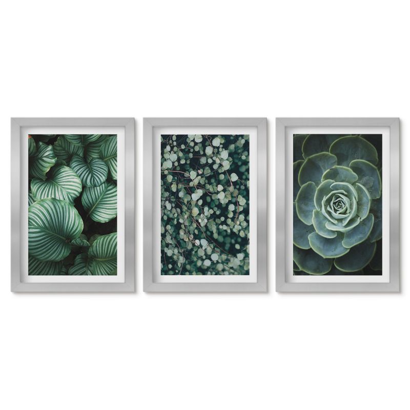 Zestaw 3 obrazów w srebrnej ramie Tulup 20x30 cm Zielone liście sukulenty styl Małe obrazy do kuchni w ramie 1 kpl