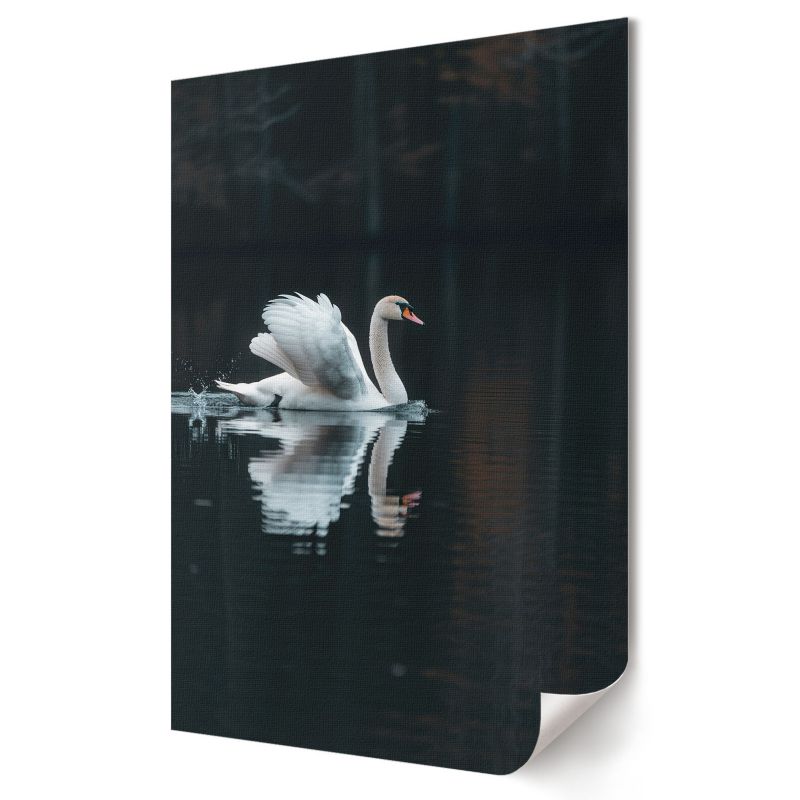 Plakat Wallfluent Format A2 Łabędź w wodzie Artysta Opium 1 szt.