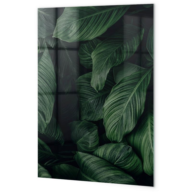 Tablica Magnetyczna Do Rysowania Tulup 40x60 cm Dżungla liście roślin 5 magnesów + gąbka Biały marker 1 kpl