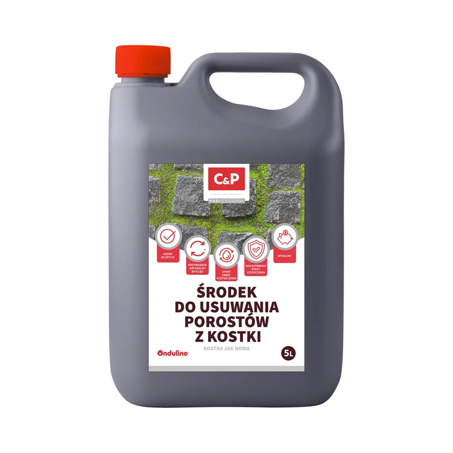 Onduline C&P Środek do usuwania porostów 5L