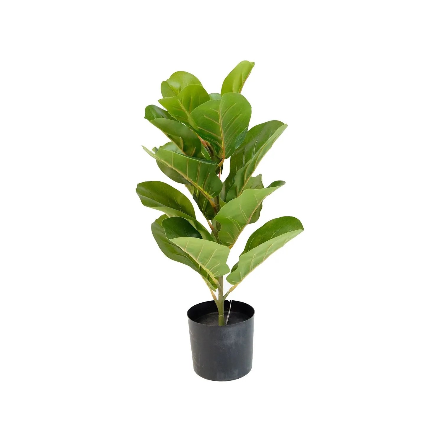 Fikus dębolistny w doniczce sztuczny - 55 cm