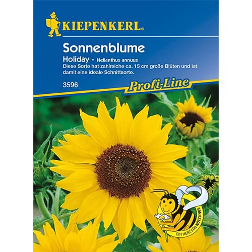 1 pac, Floarea soarelui decorativă Holiday KIEPENKERL - Semințe: Mod de ambalare: 1 pac