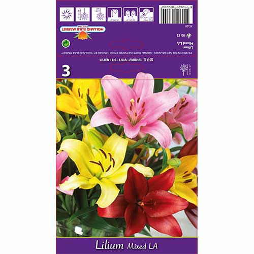 3 buc, Crin L.A. mix multicolor - Bulbi: Mod de ambalare: 3 buc