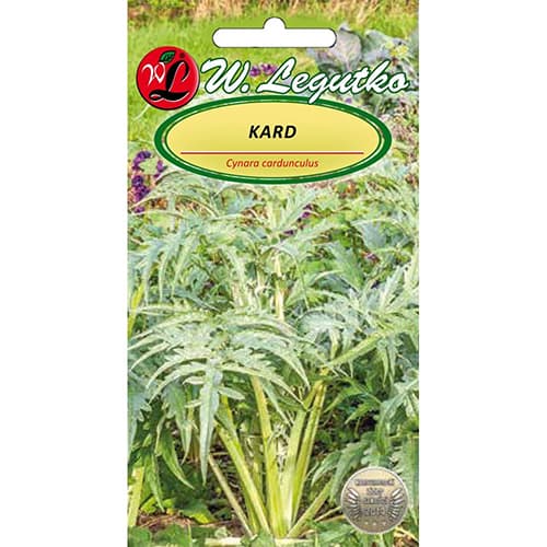 Artičok španielsky Bianco avorio - : Monžstvo balíkov: 0.5 g