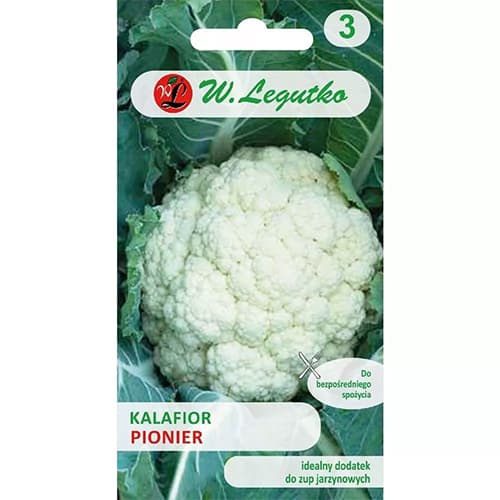 1 szt, Blumenkohl Pionier - Samen: Ilość w opakowaniu: 1 g