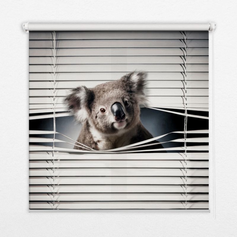 Roleta Do Salonu Tulup 90x180 cm Koala Montaż do ściany/sufitu 1 szt.