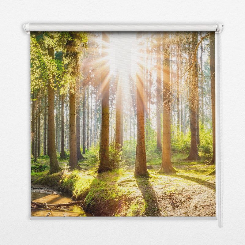 Roleta Do Salonu Tulup 100x100 cm Słońce Przebijające Się Przez Drzewa Montaż do ściany/sufitu 1 szt.