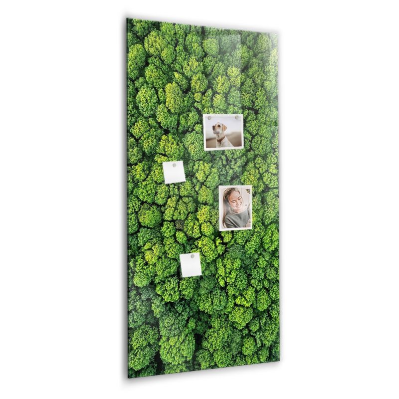 Tablica Magnetyczna Szklana Wallfluent 60x120 cm Gęstwina leśna i dzika przyroda 1 szt.