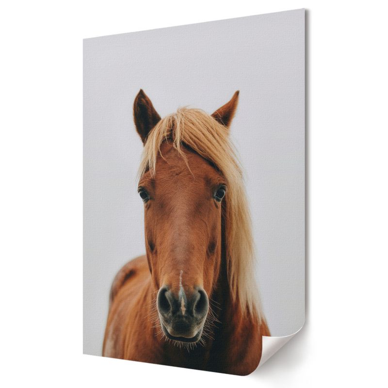 Plakat na ścianę Wallfluent Format A3 Koń portret Artysta Nyra 1 szt.