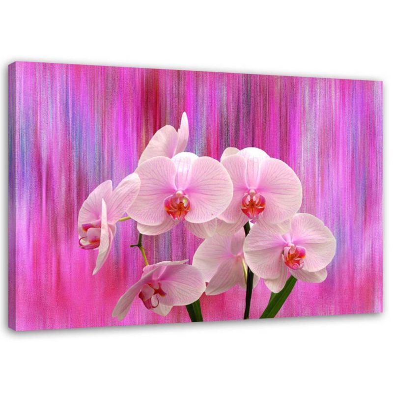 Obraz na płótnie Feeby Storczyki w fiolecie i różu 120x80cm 1szt