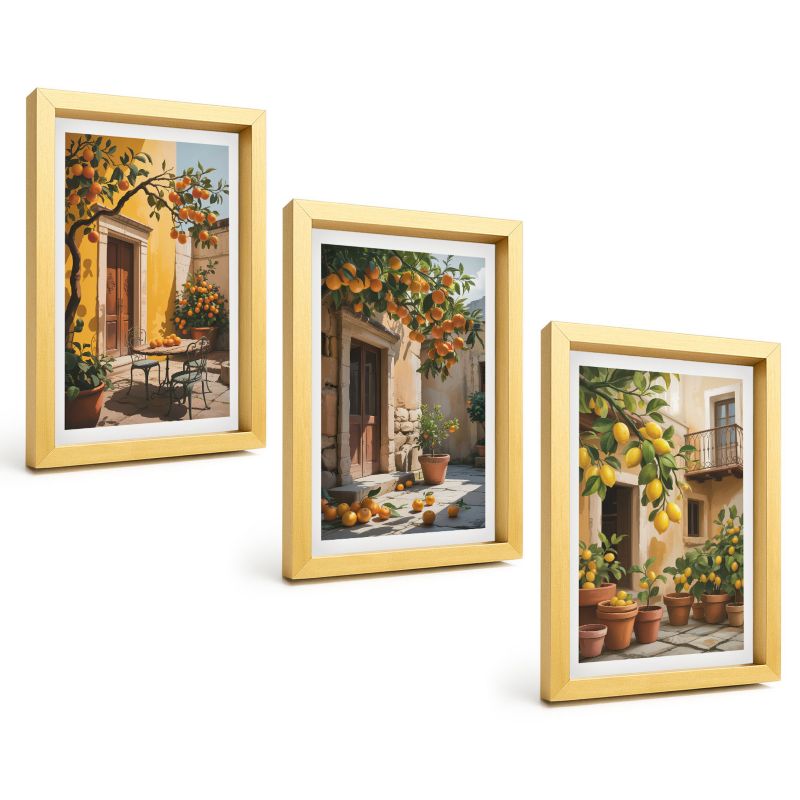Trzyczęściowy Zestaw Obrazów ArtPrintCave 20x30 cm Złota rama Owoce cytrusowe dziedziniec rośliny 1 kpl.